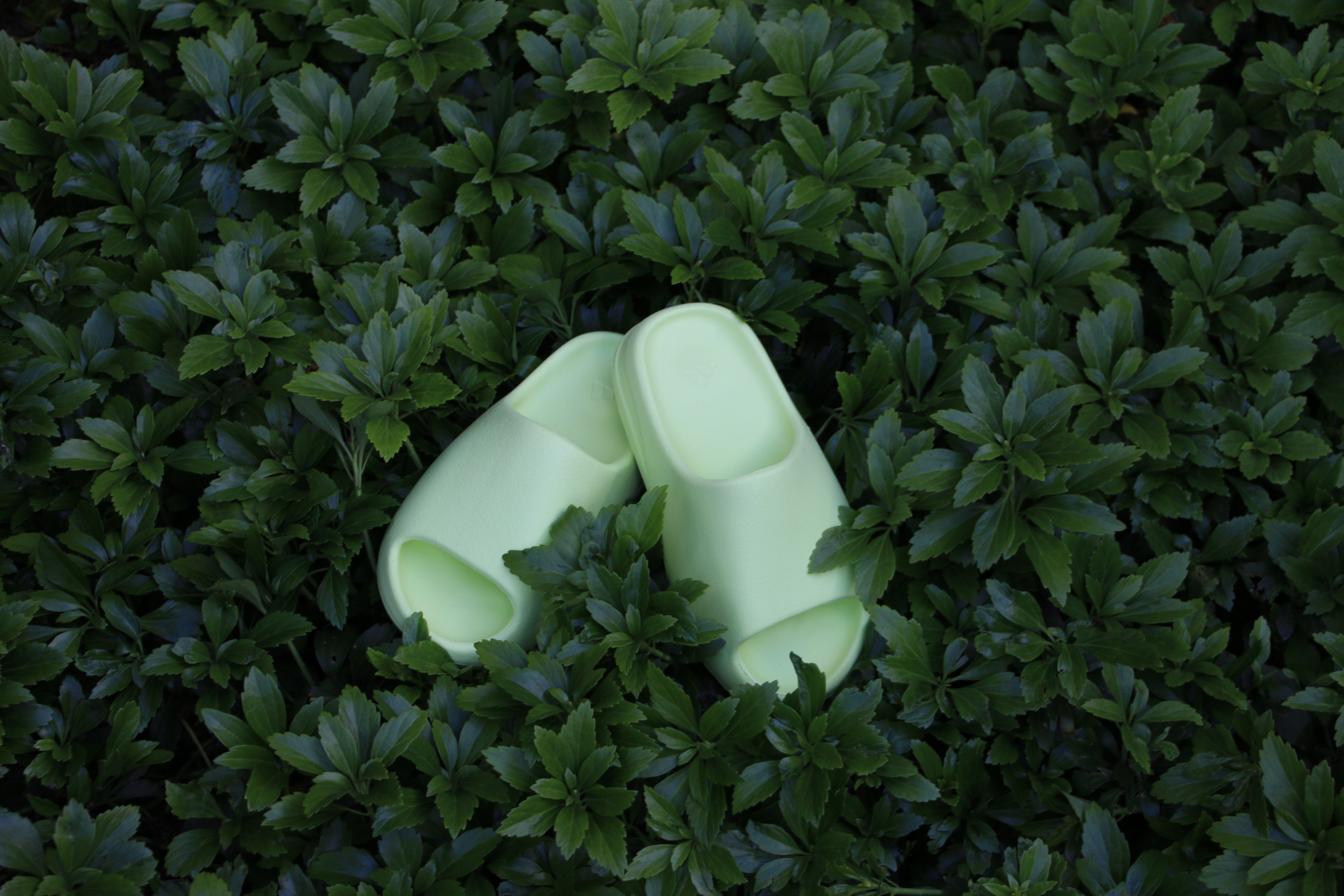 Yeezy slides - a must have this summer
