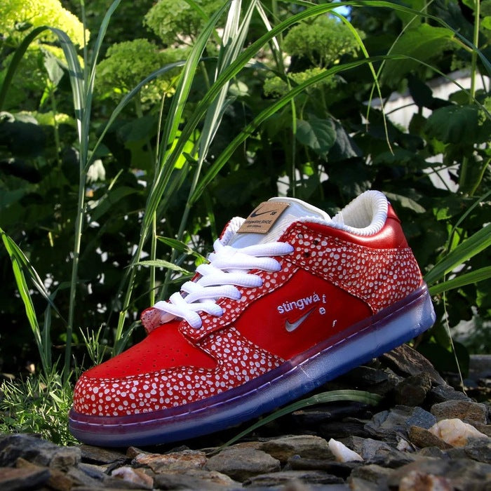 Nike Dunk - why is there such hype for them?