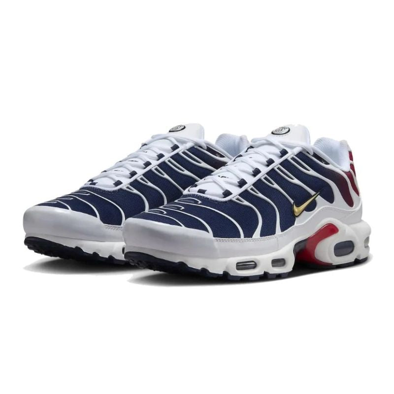 Nike Air Max Plus PSG